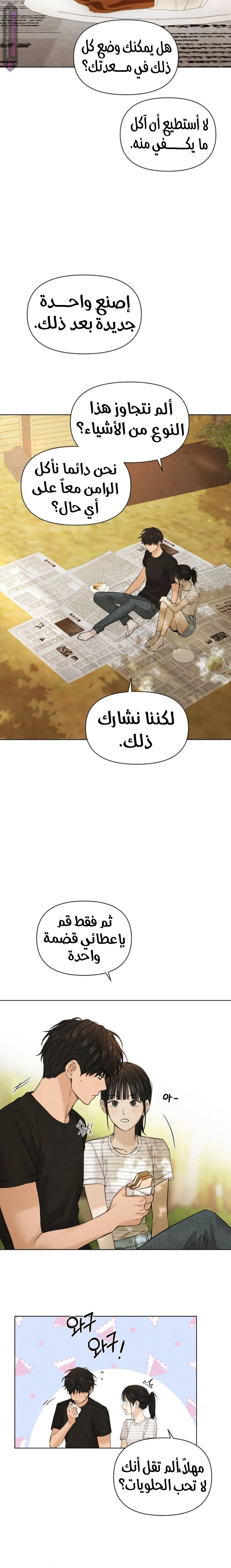 الصفحة 19