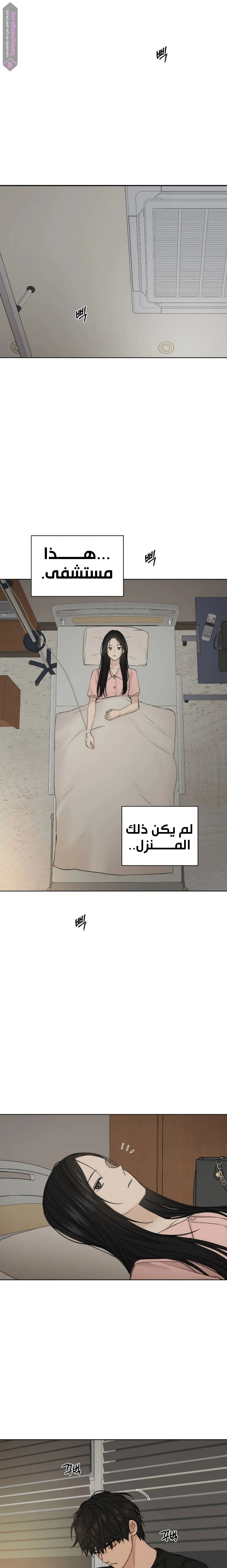 الصفحة 24