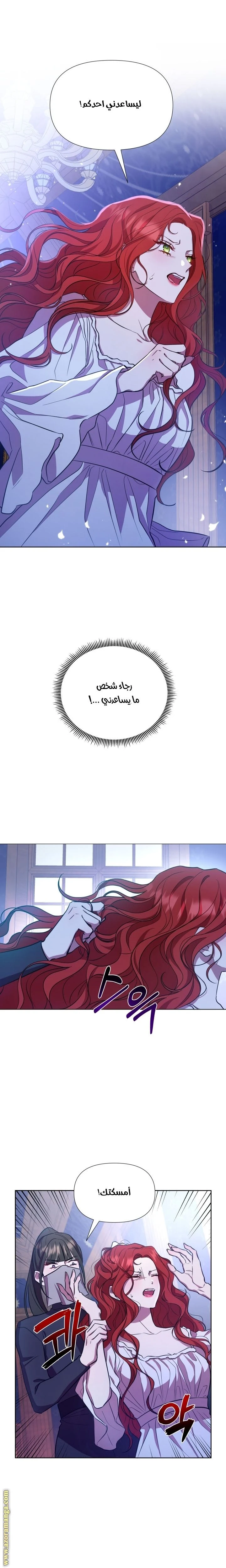 الصفحة 17