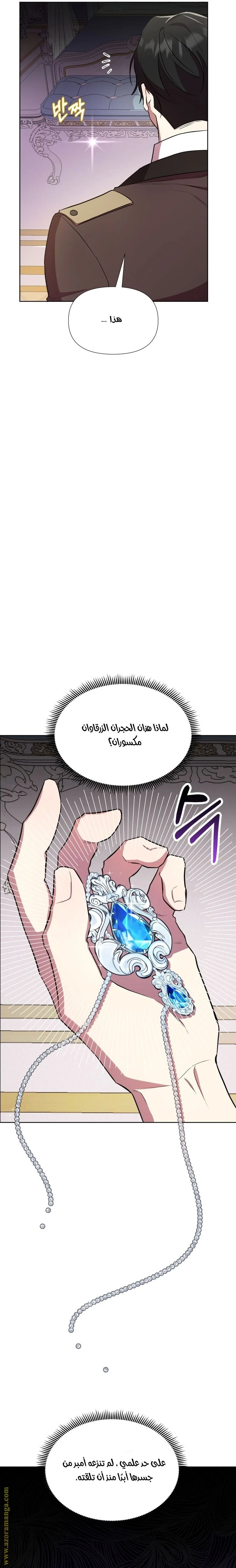 الصفحة 25