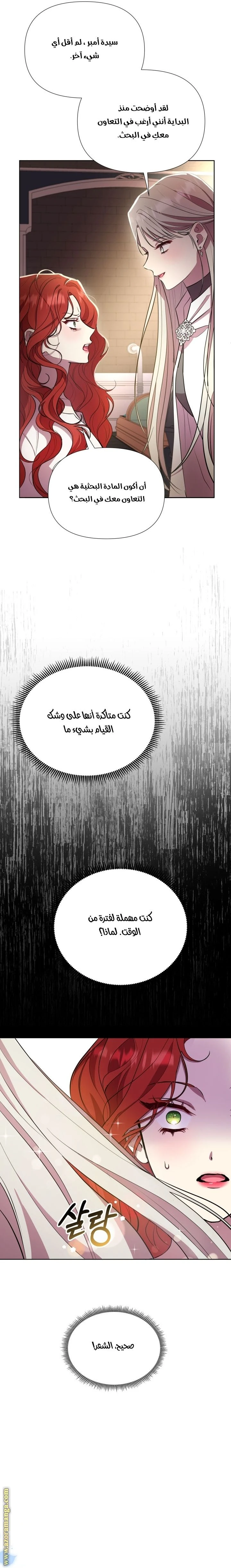 الصفحة 28