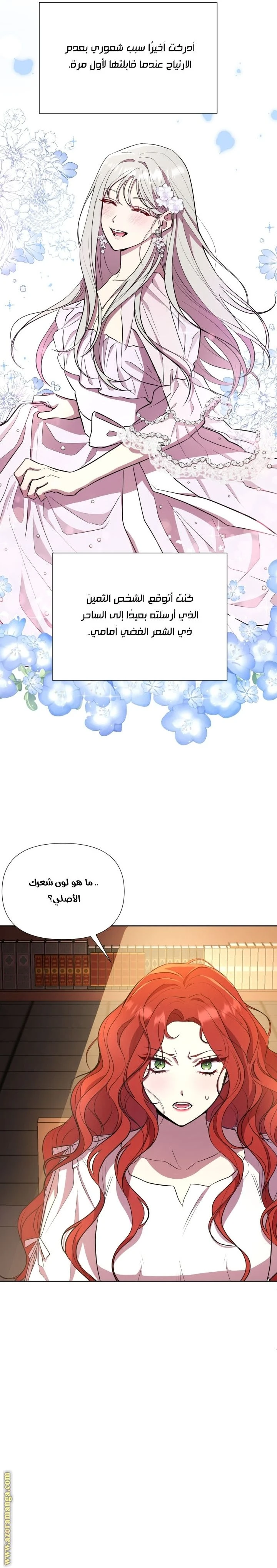الصفحة 29