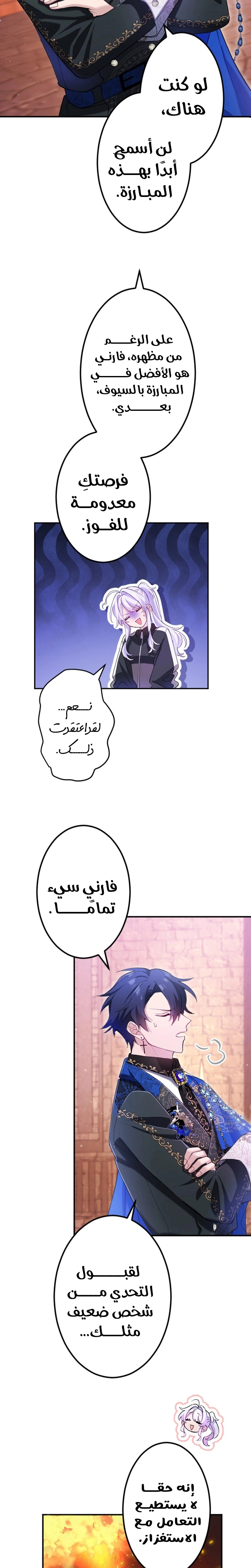 الصفحة 17