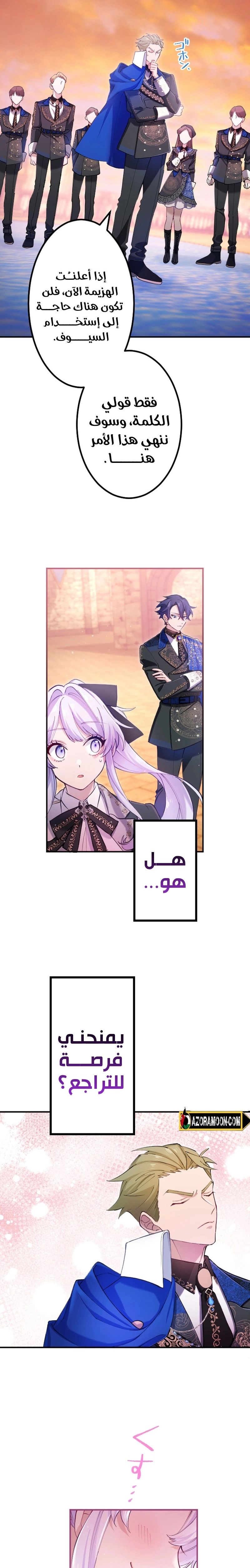 الصفحة 29