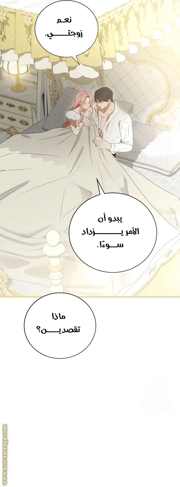 الصفحة 21