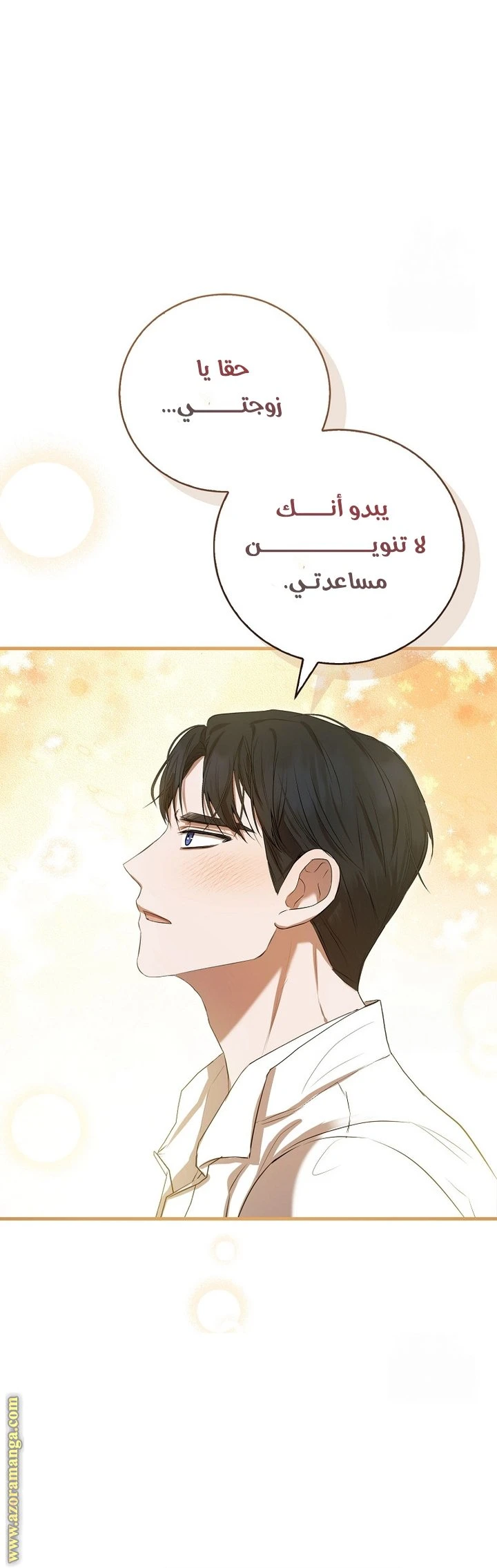 الصفحة 26