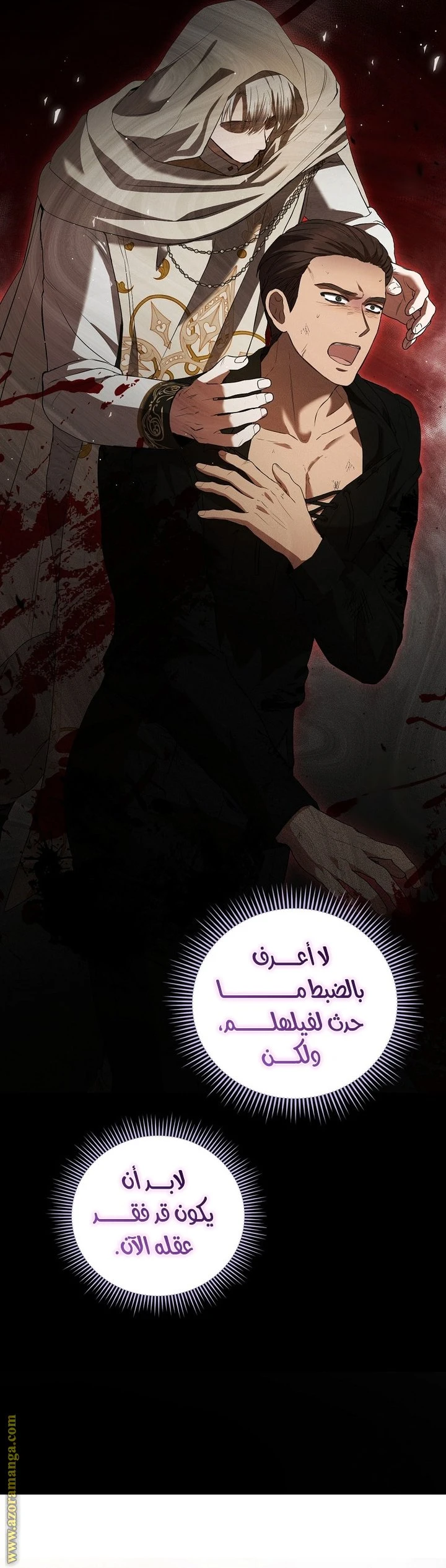 الصفحة 43