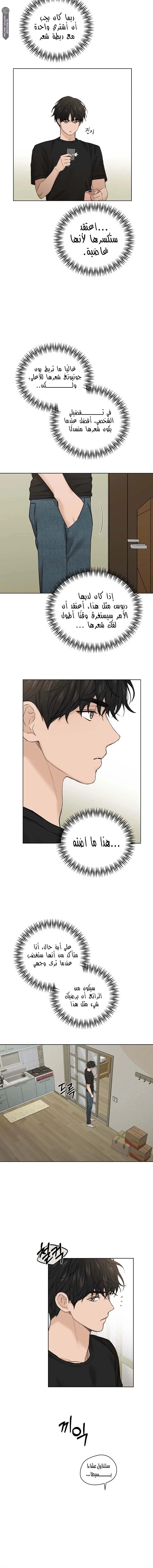 الصفحة 14