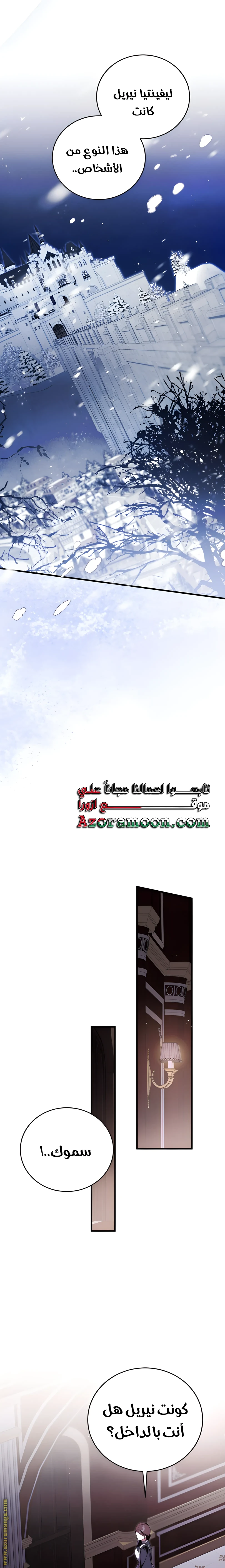 الصفحة 26