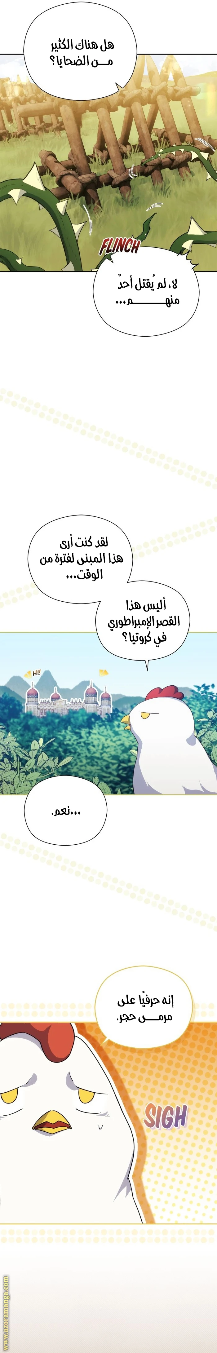 الصفحة 12