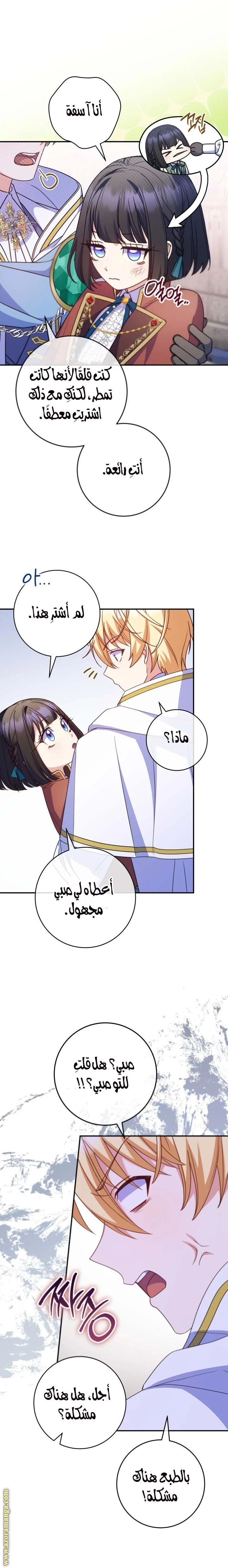 الصفحة 17