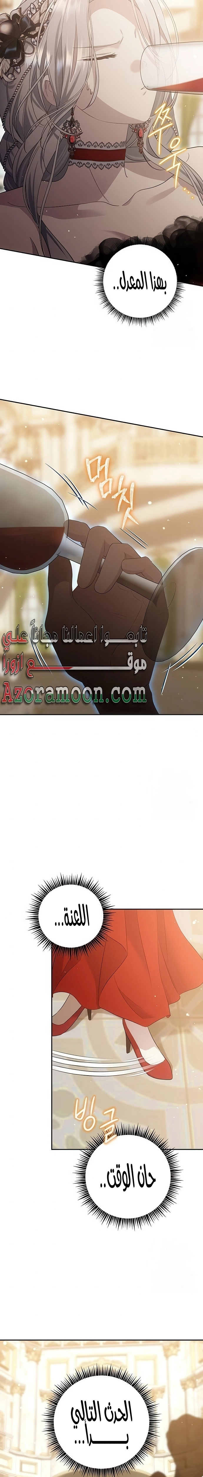 الصفحة 13