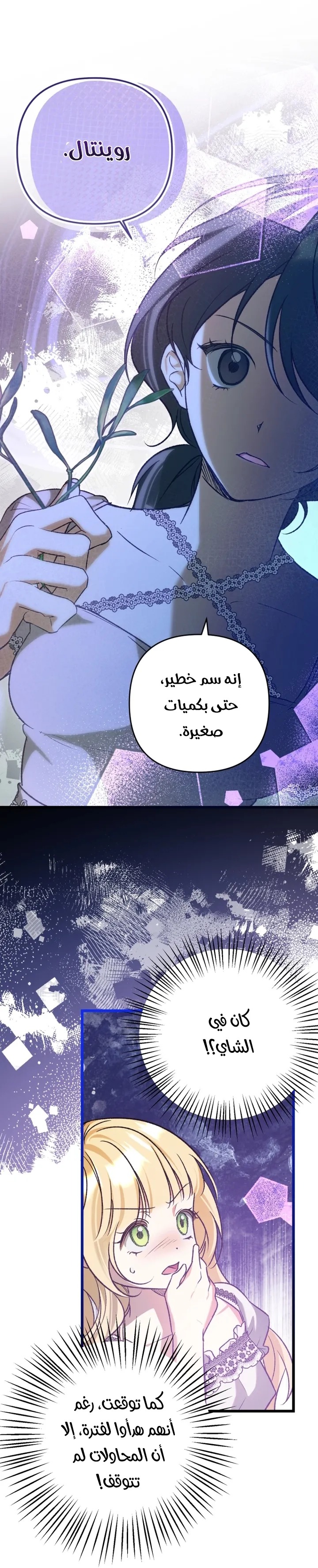 الصفحة 12