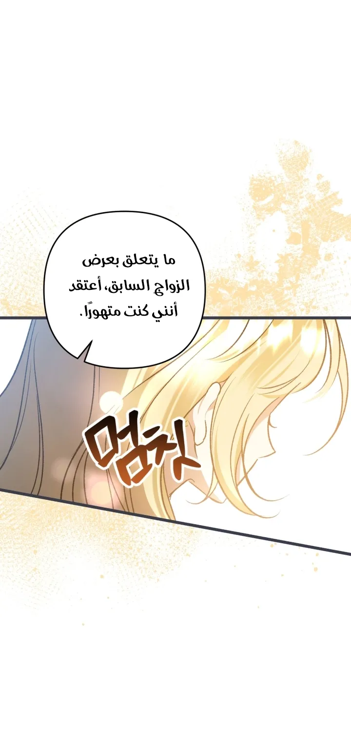 الصفحة 22