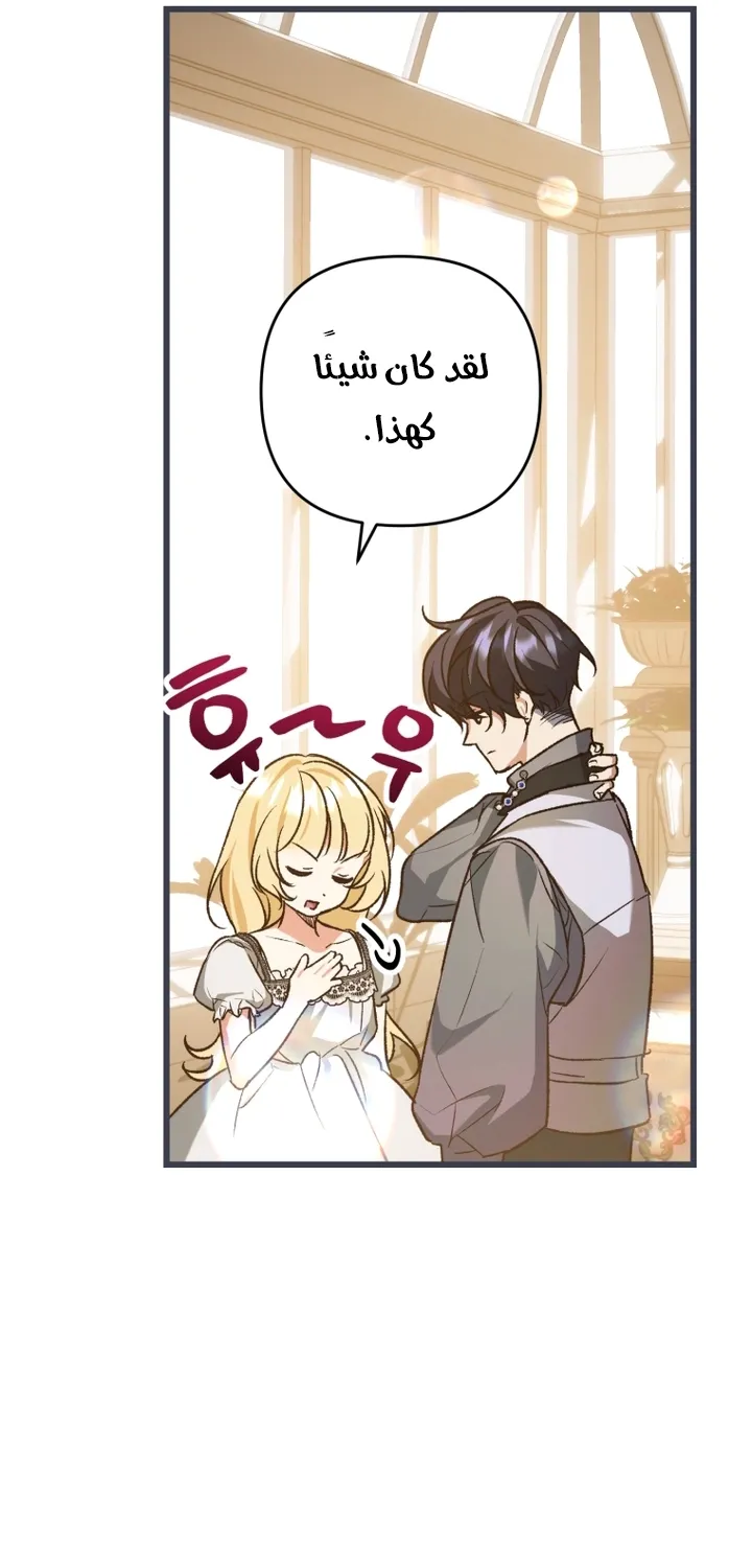 الصفحة 27