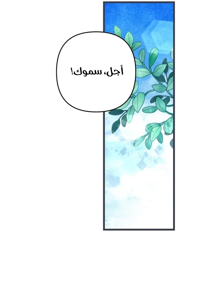 الصفحة 38