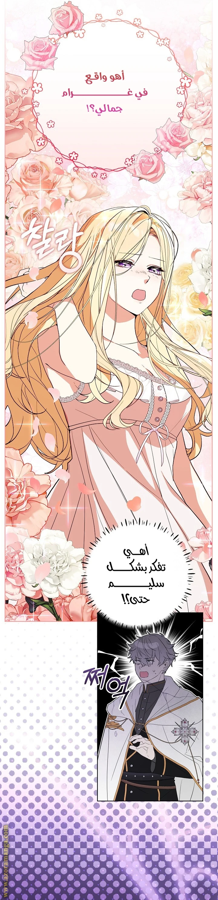 الصفحة 28