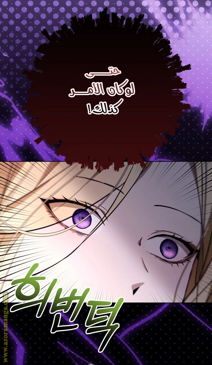 الصفحة 29