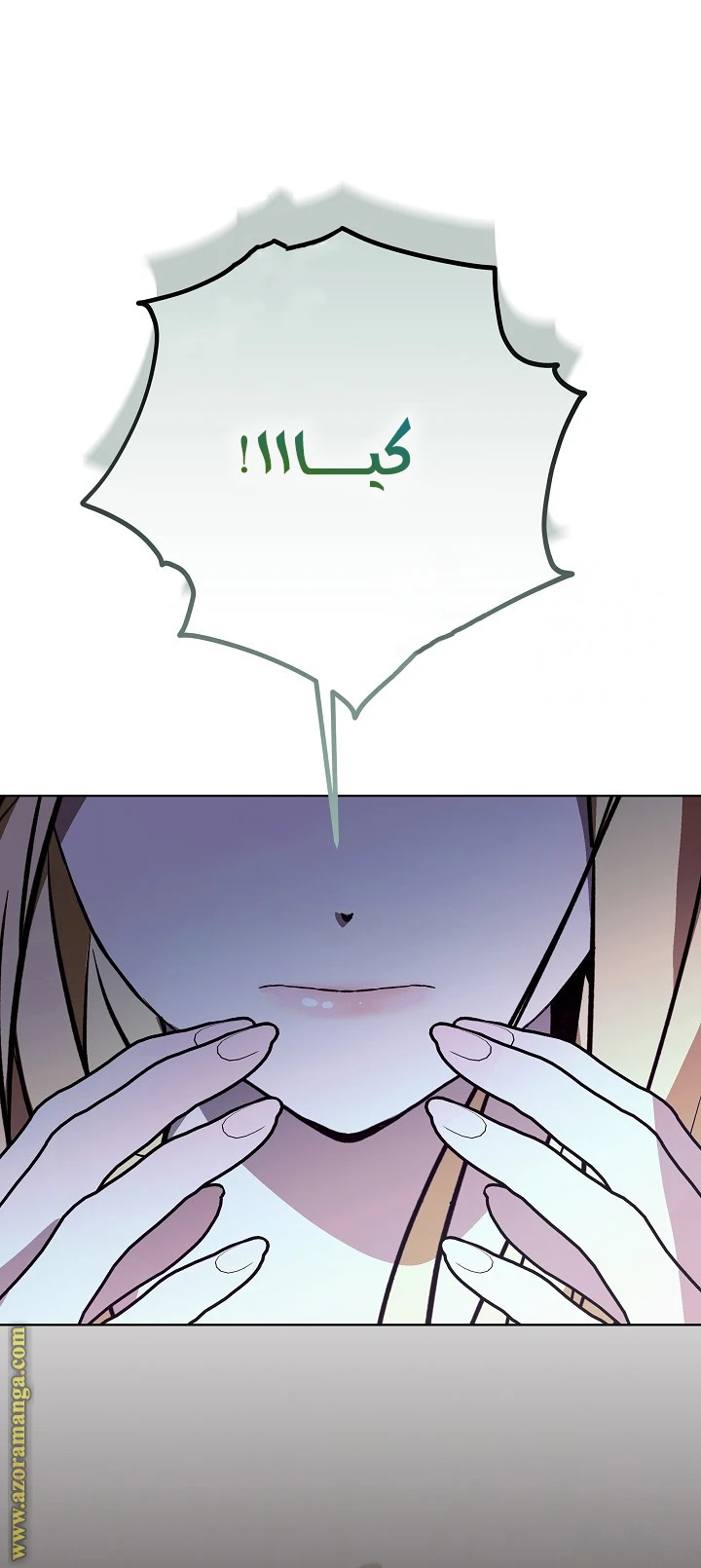 الصفحة 31