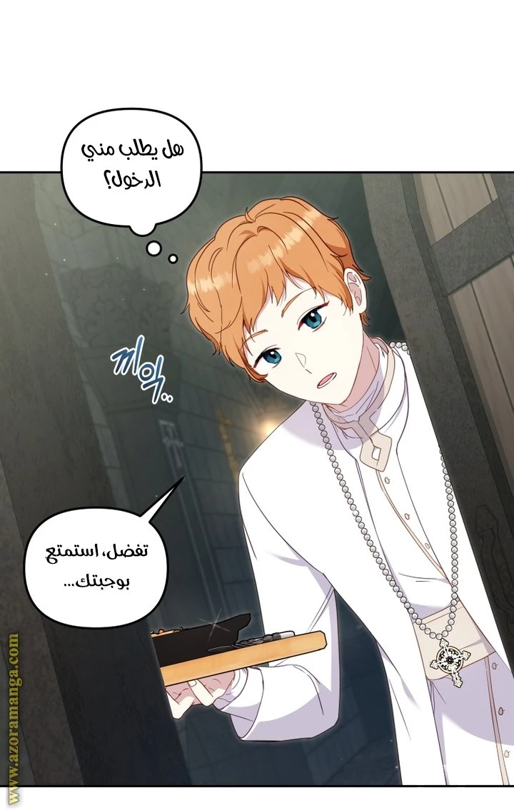 الصفحة 12