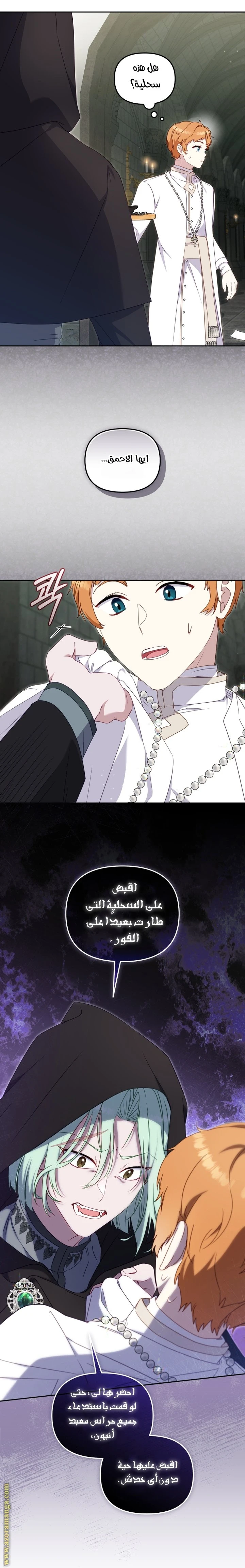 الصفحة 15