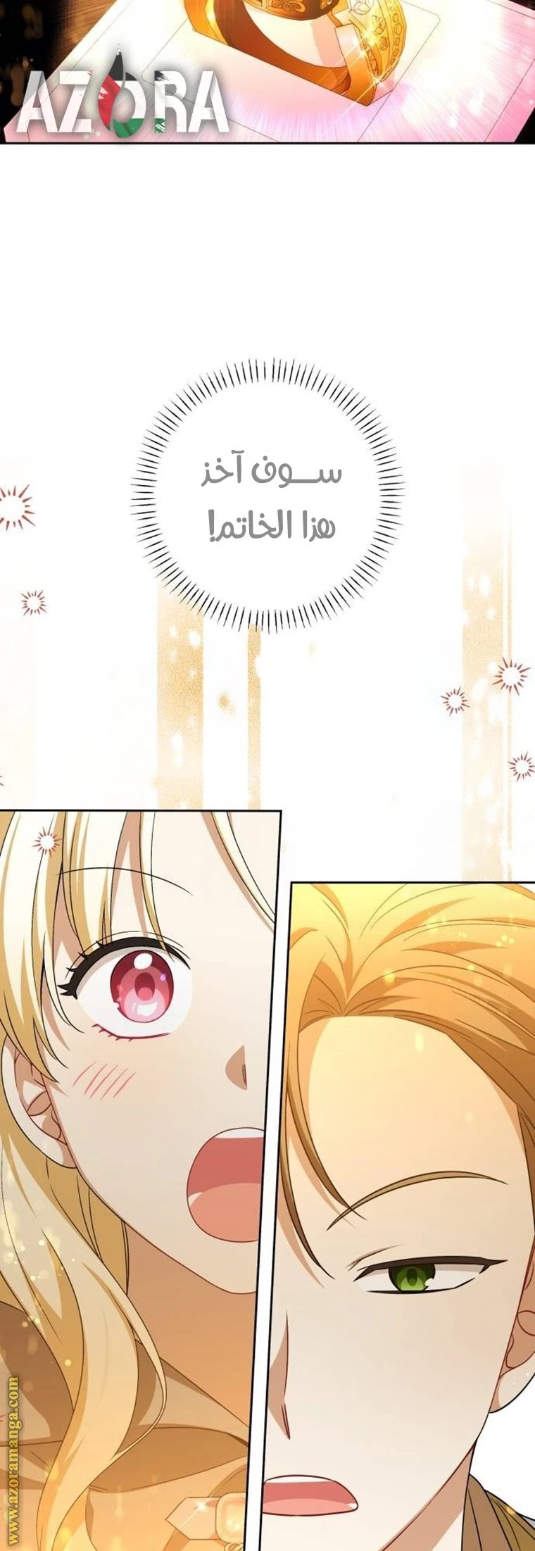 الصفحة 30