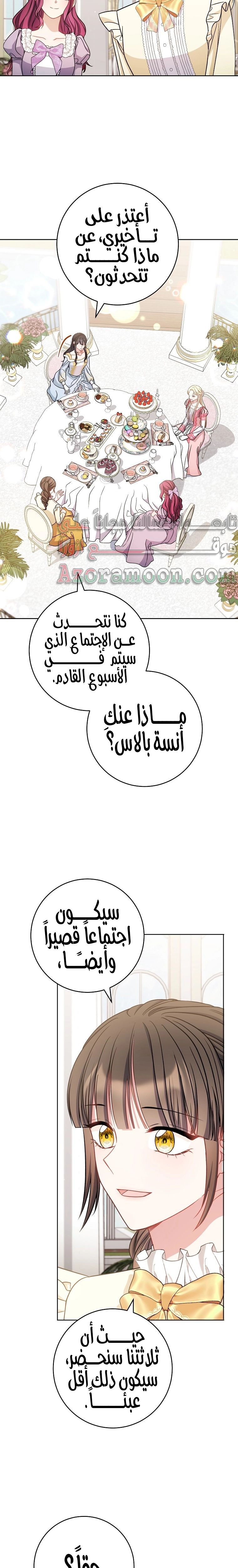 الصفحة 17