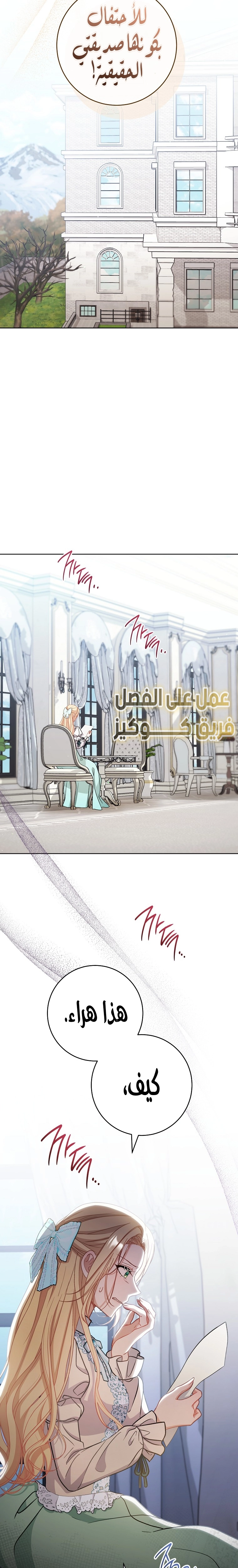 الصفحة 26