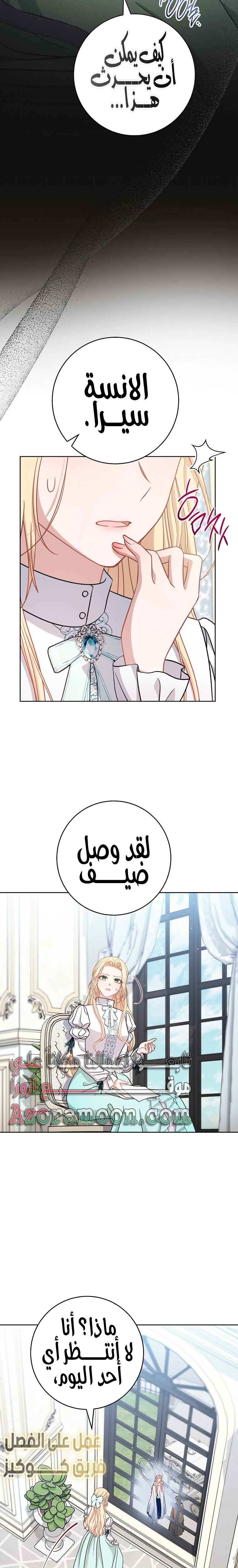 الصفحة 27