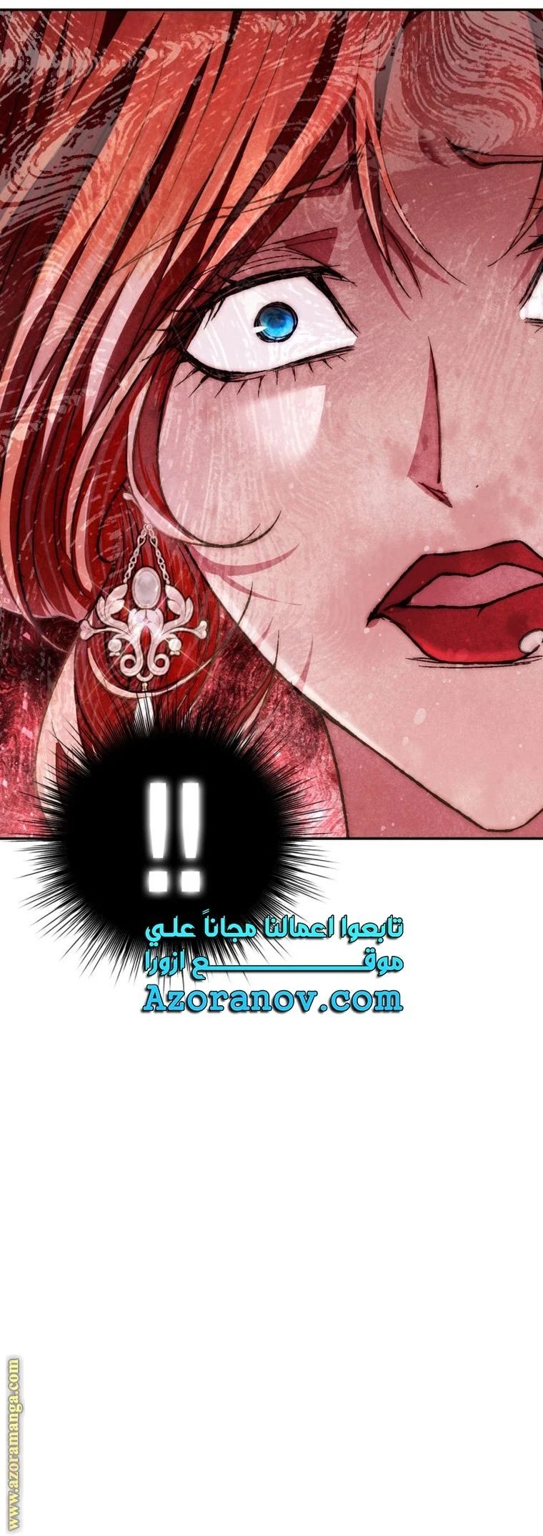 الصفحة 29