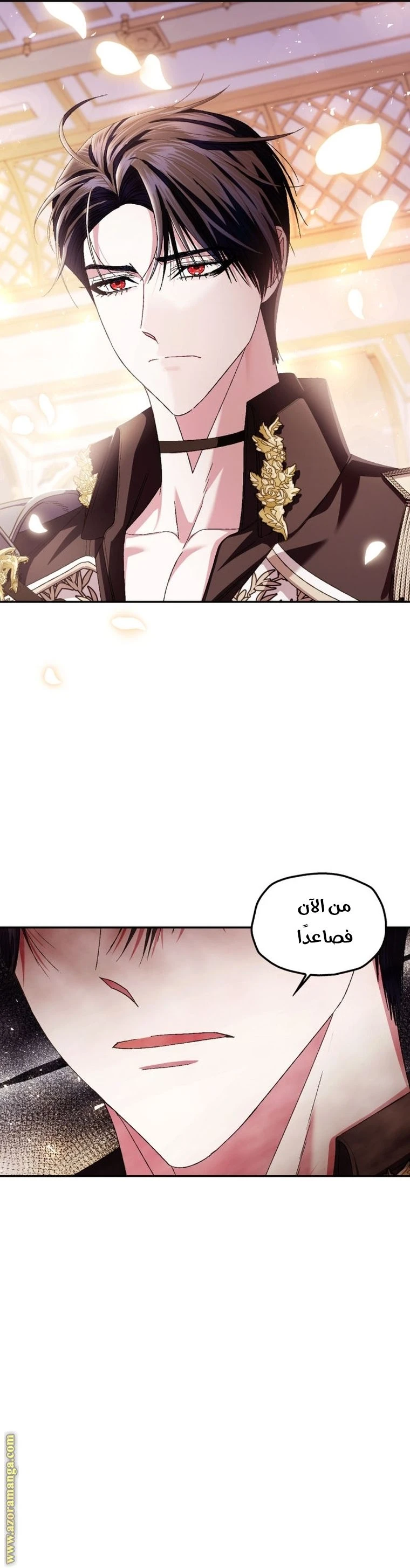 الصفحة 41