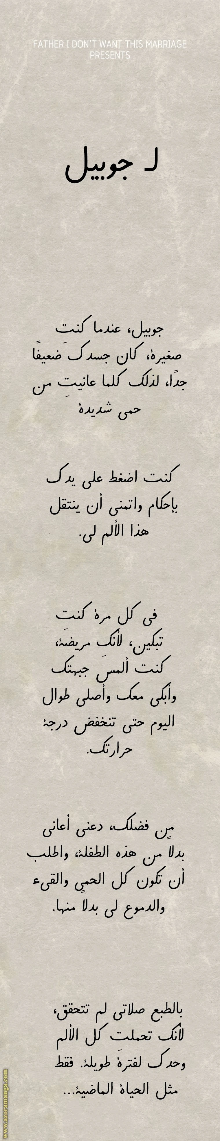الصفحة 43