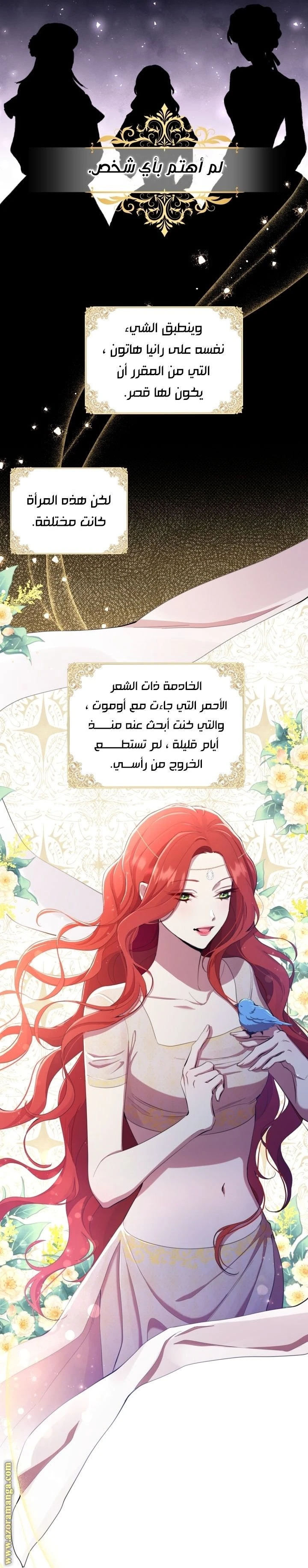 الصفحة 5