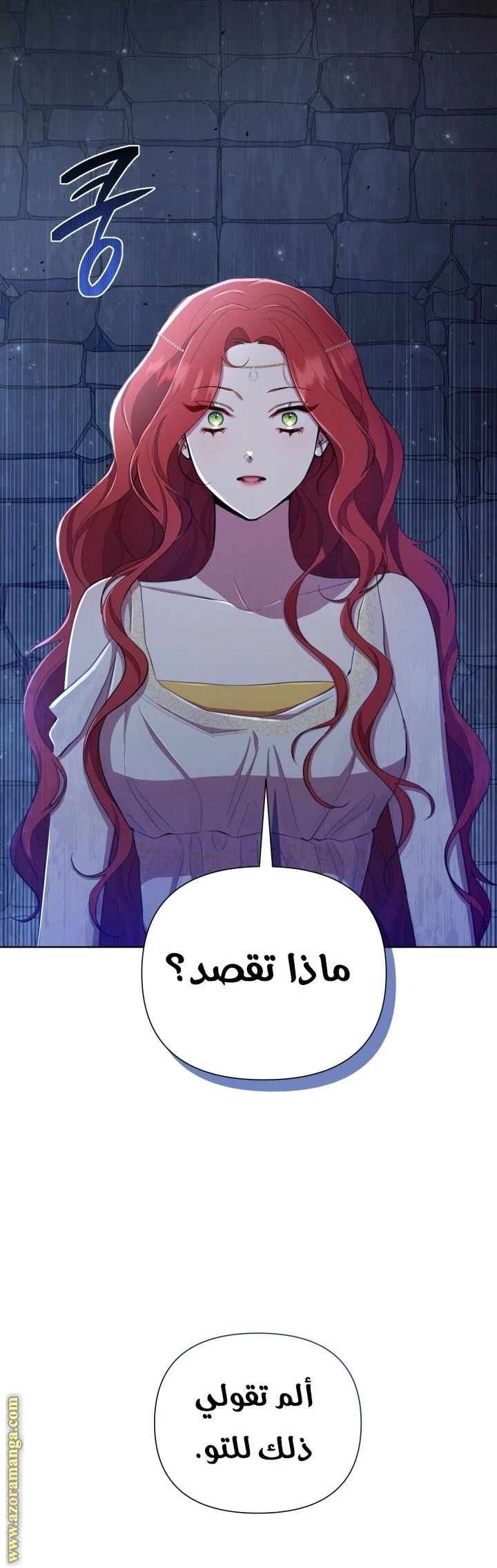 الصفحة 30