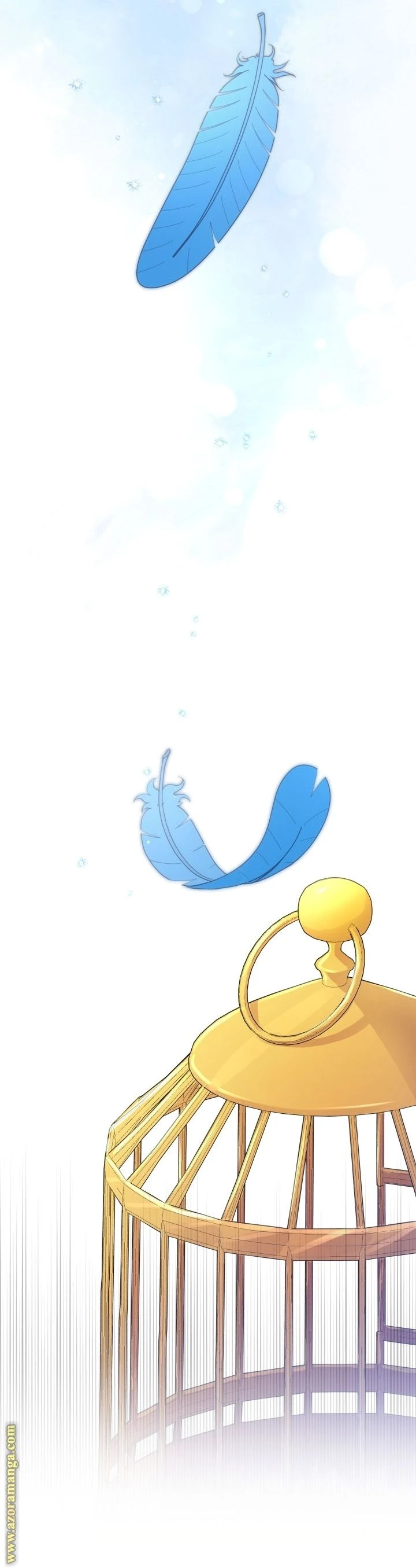 الصفحة 41