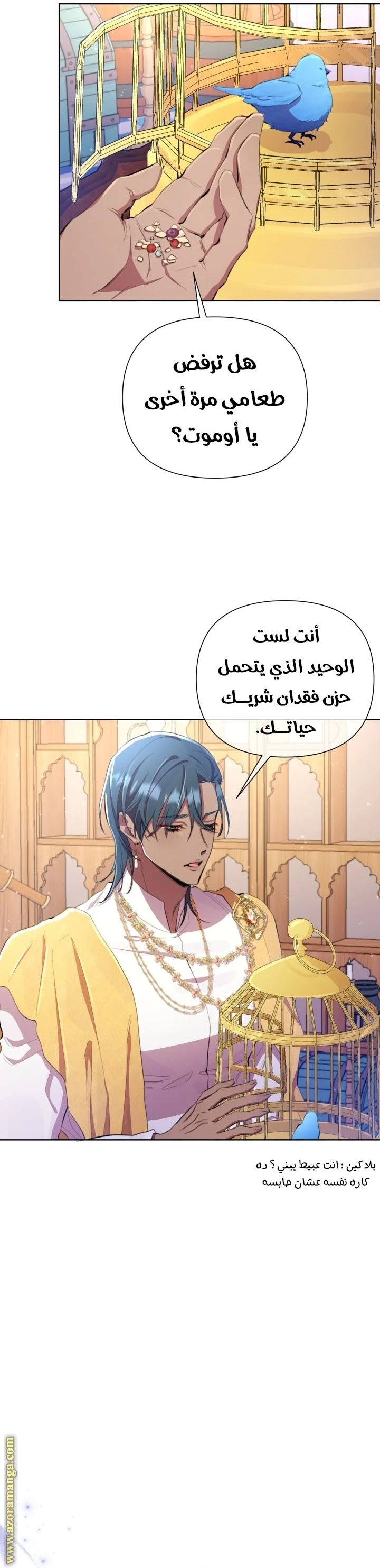 الصفحة 42