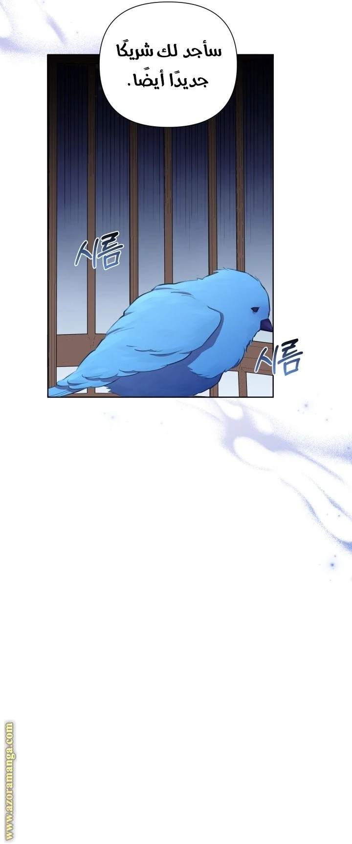 الصفحة 43