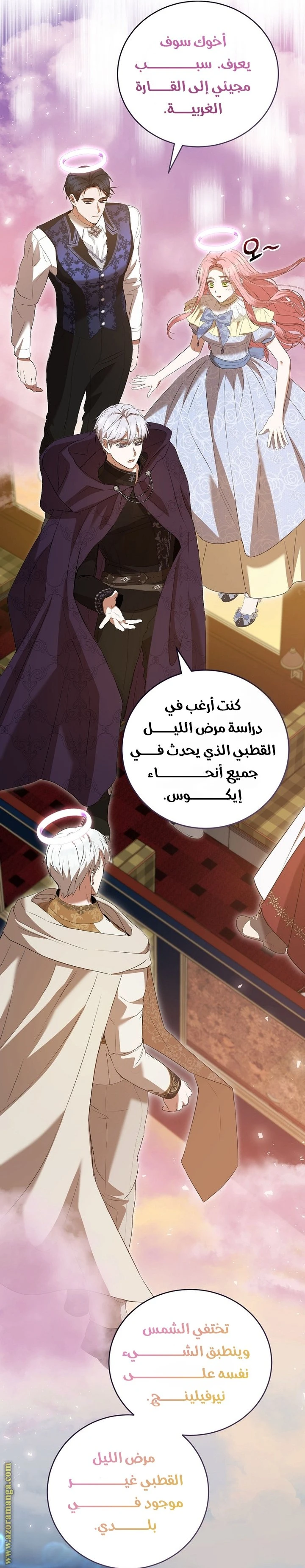 الصفحة 12