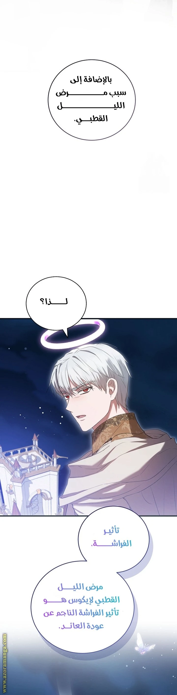 الصفحة 14