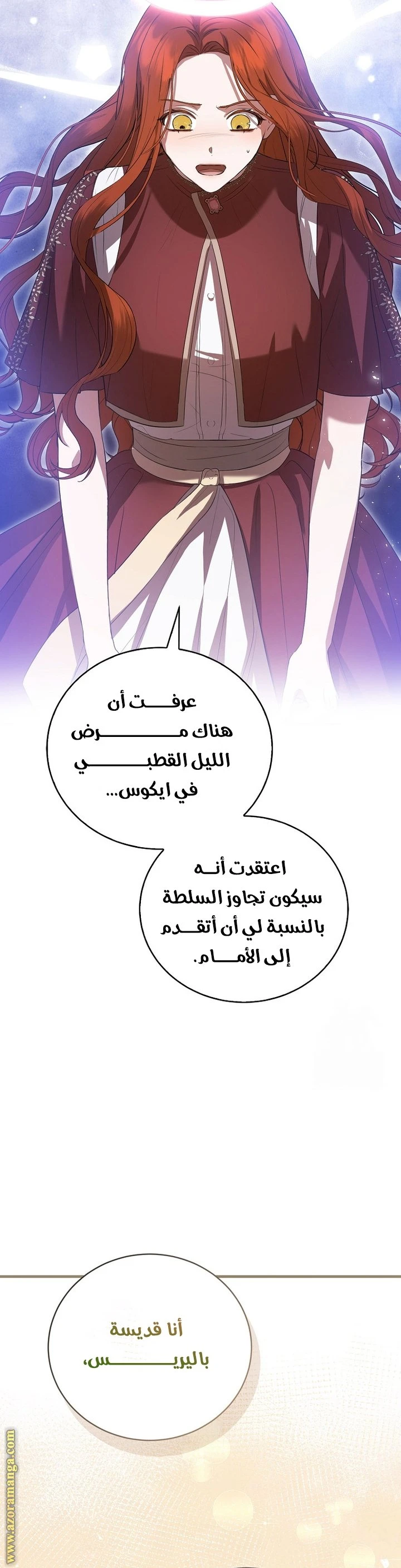 الصفحة 17