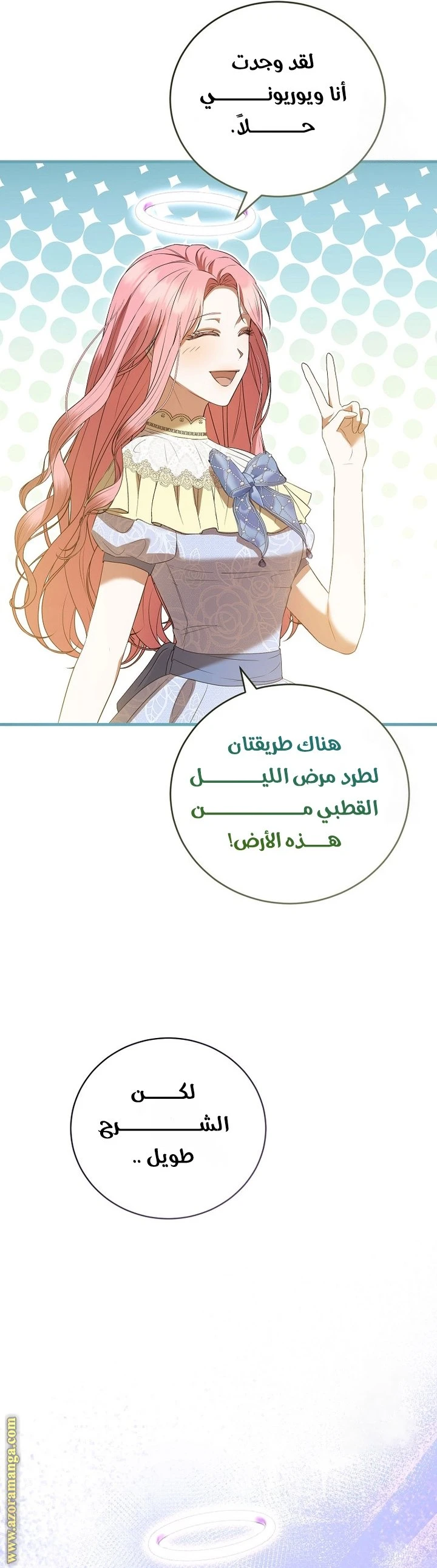 الصفحة 20