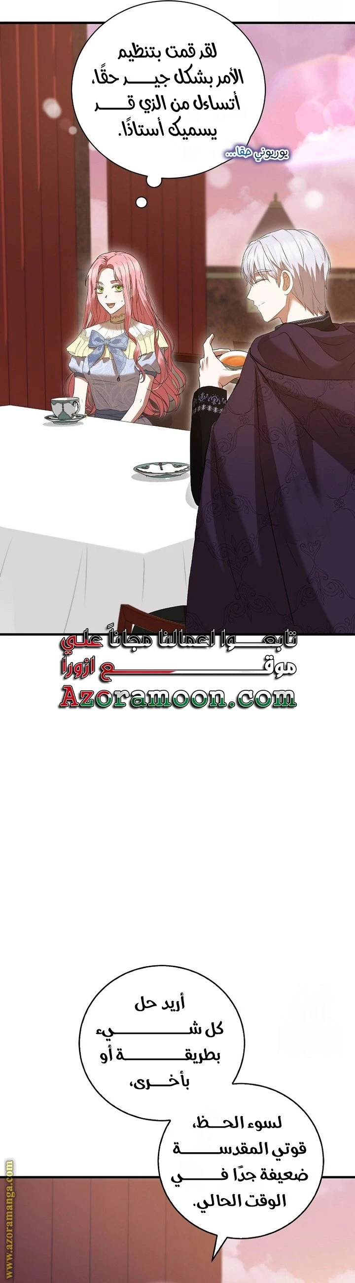 الصفحة 26