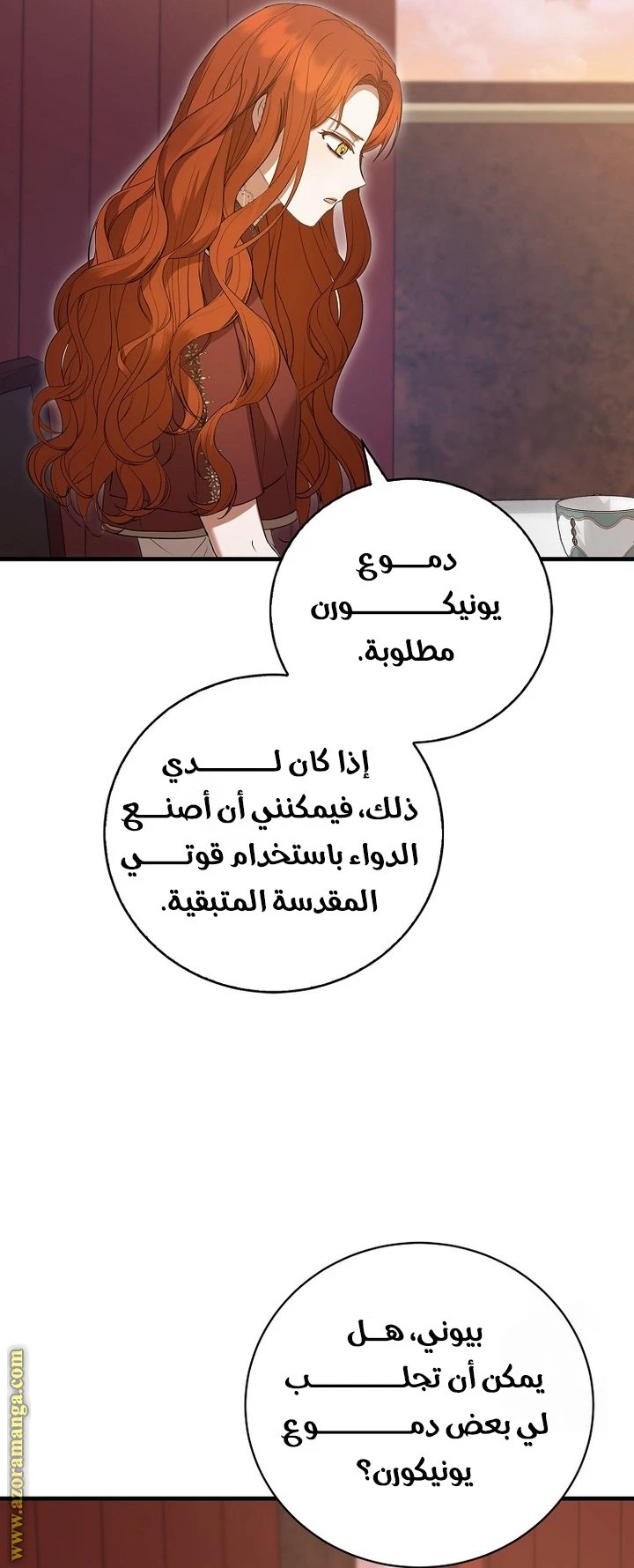 الصفحة 27