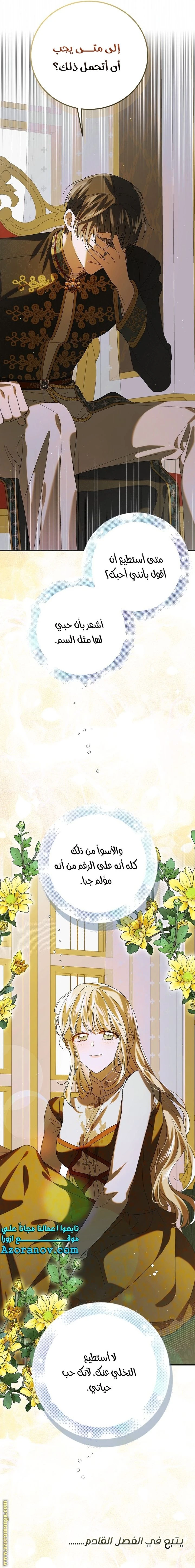الصفحة 26