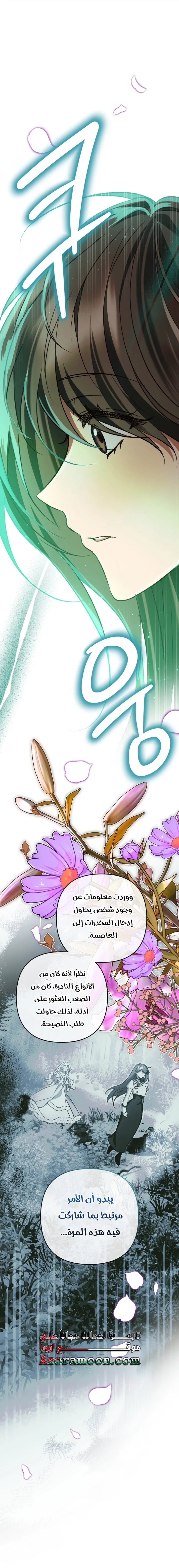 الصفحة 51