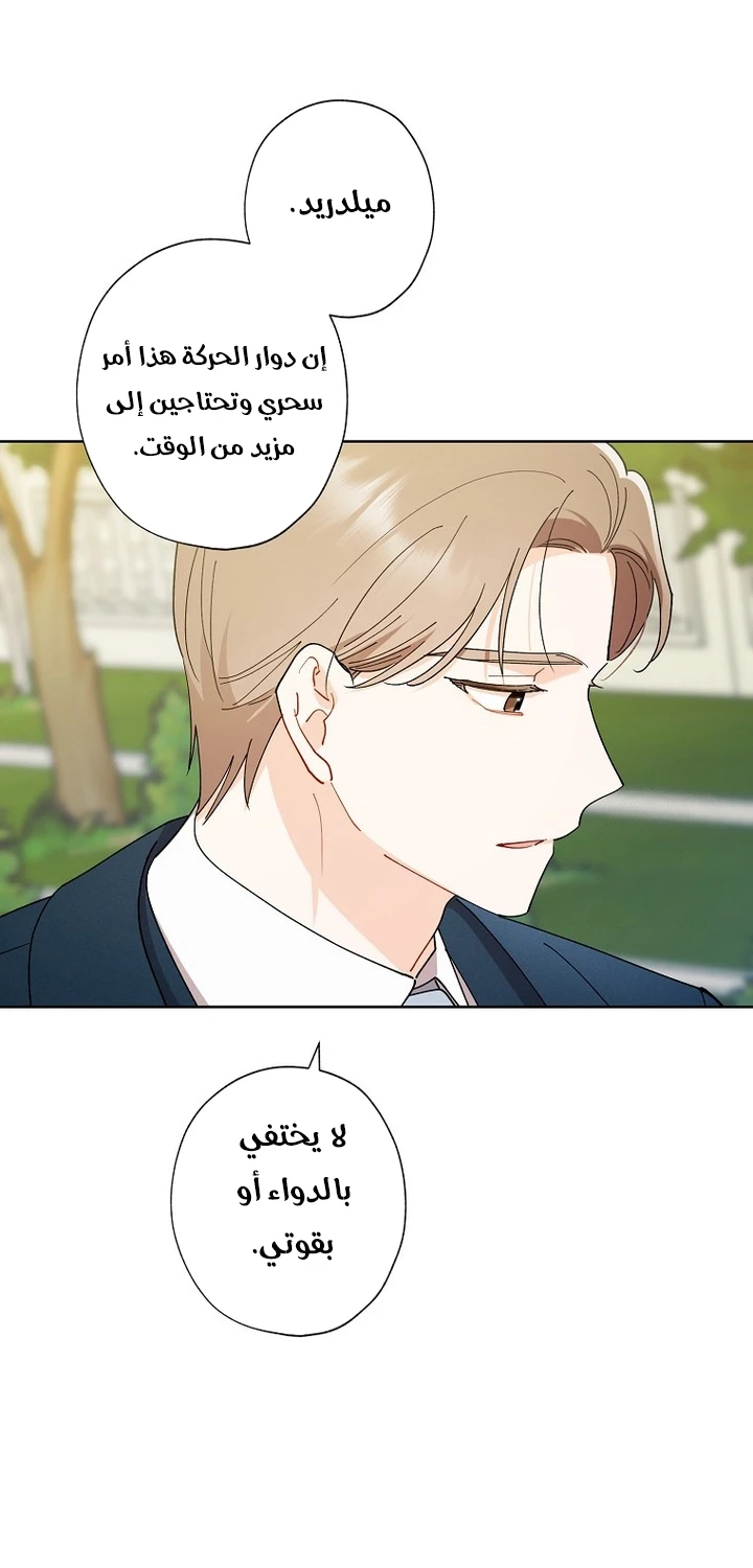 الصفحة 28