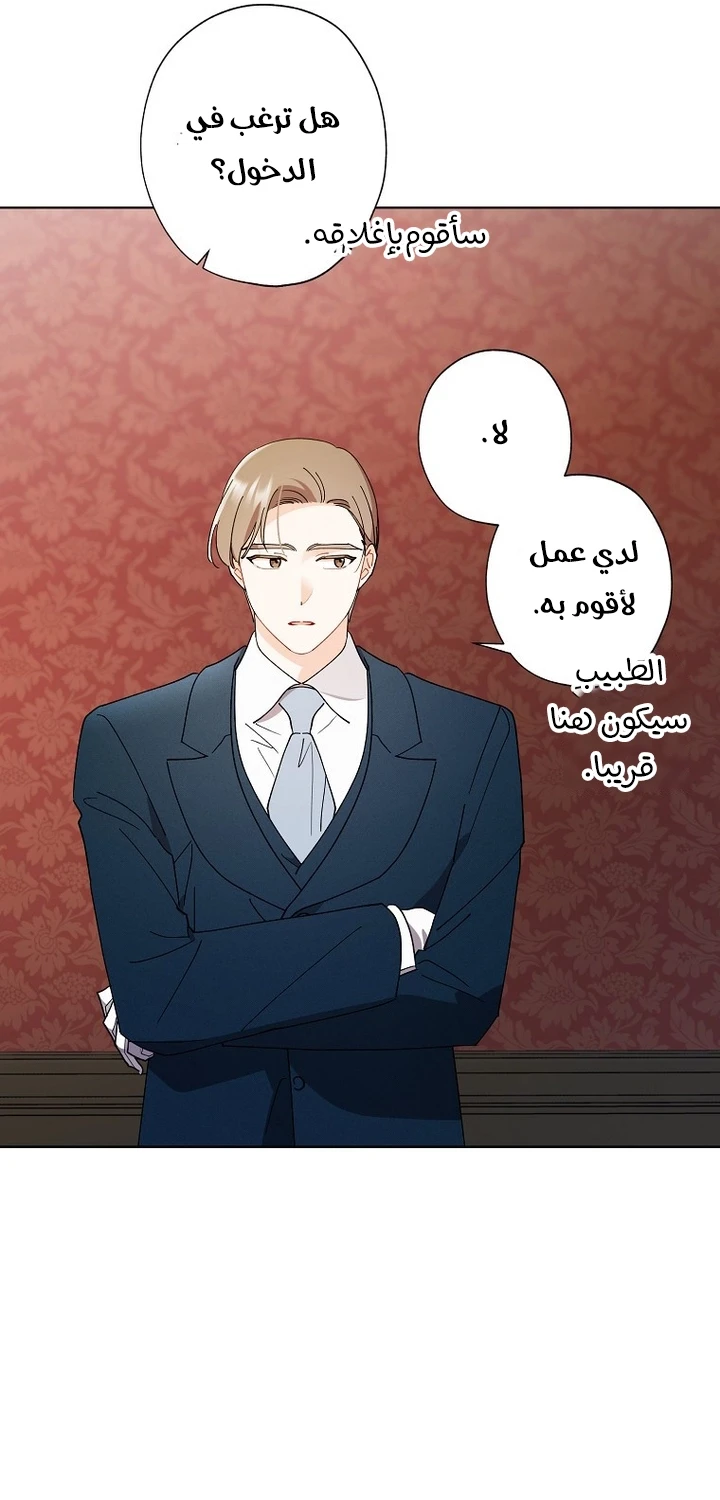 الصفحة 46