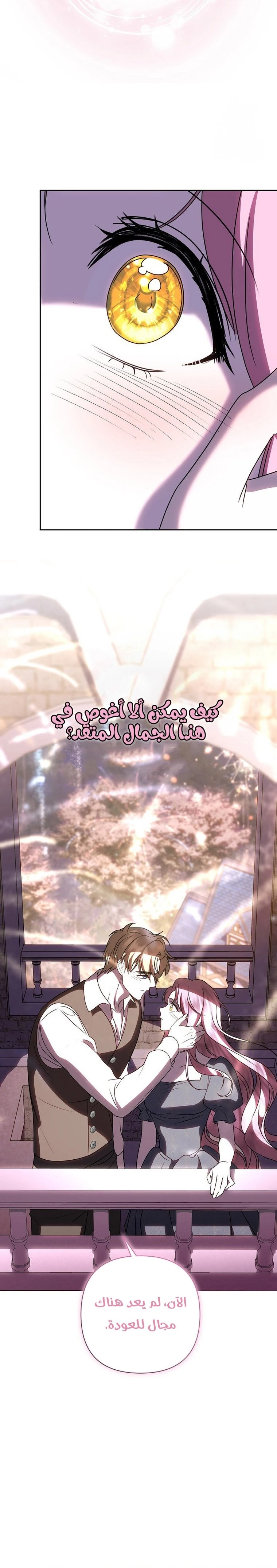 الصفحة 24