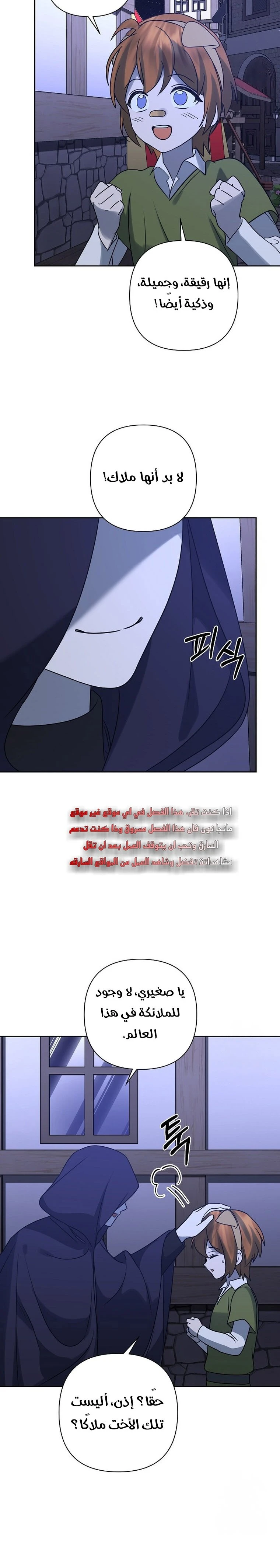 الصفحة 29