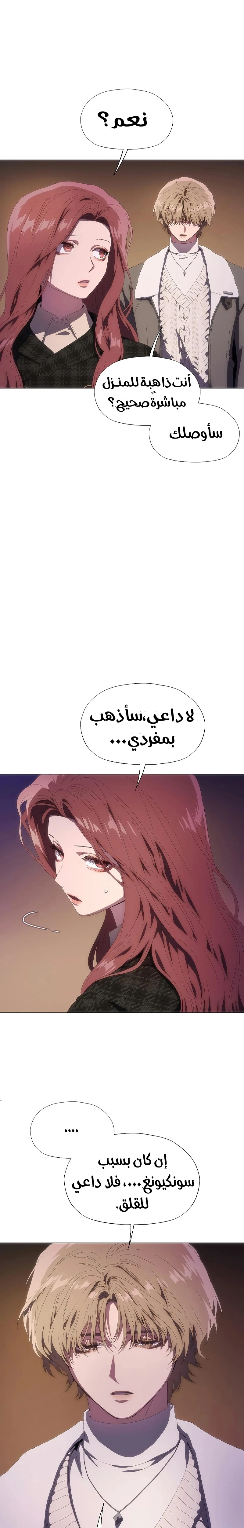 الصفحة 3